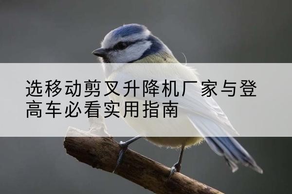 槐荫电动升降机厂家-选移动剪叉升降机厂家与登高车必看实用指南