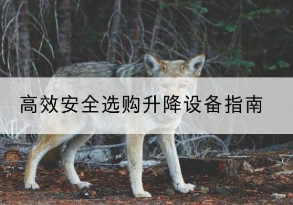 槐荫升降货梯厂家推荐-*安全选购升降设备指南