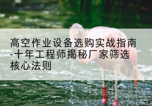 槐荫剪叉式升降机厂家-高空作业设备选购实战指南-十年工程师揭秘厂家筛选核心法则