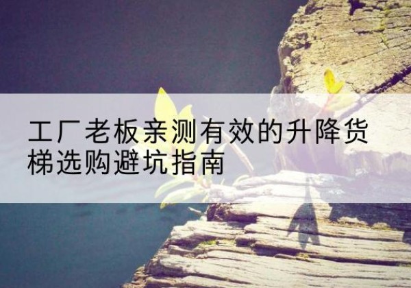 槐荫升降货梯怎么选-工厂老板亲测有效的升降货梯选购避坑指南